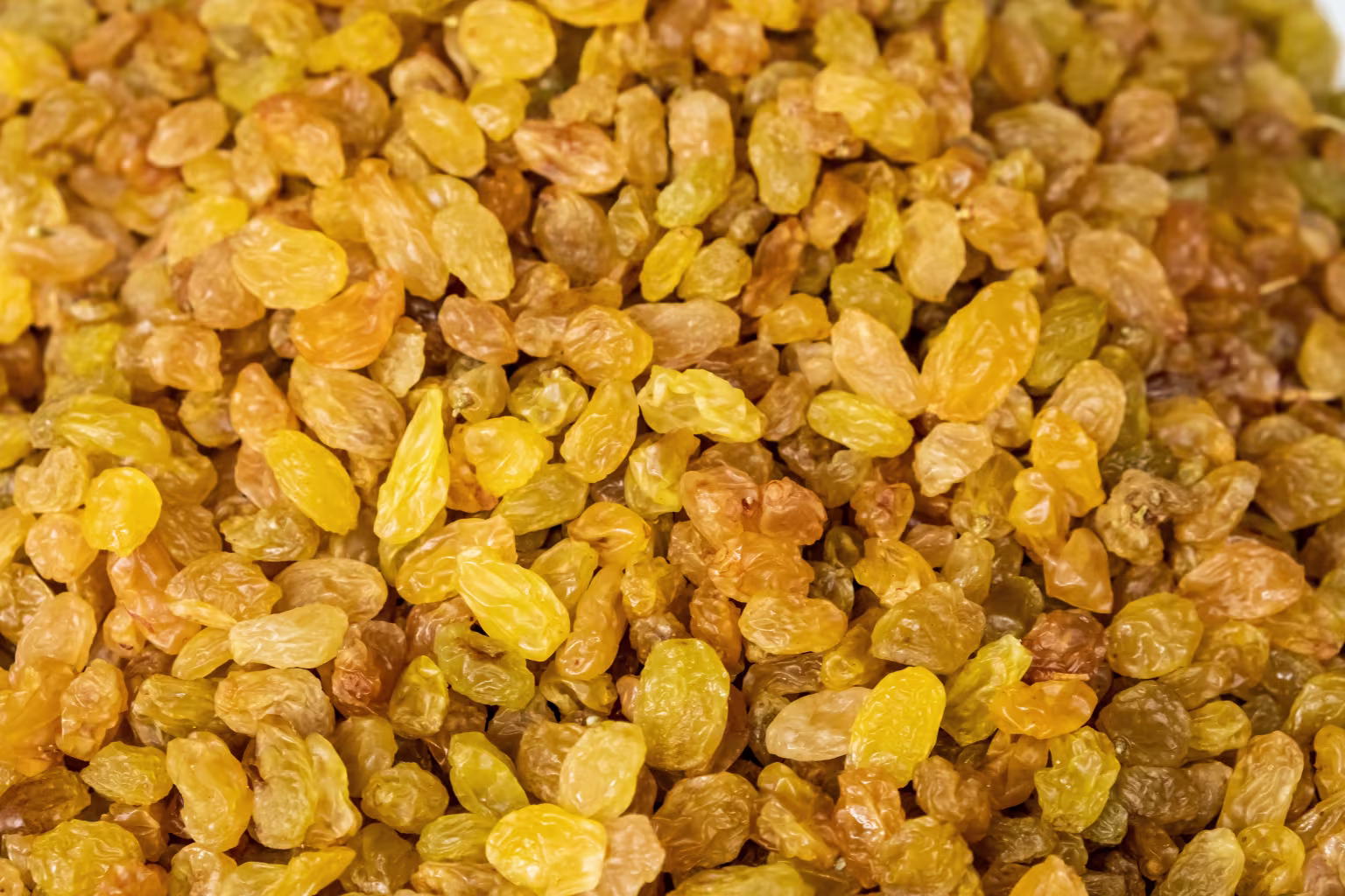 Indian Raisins