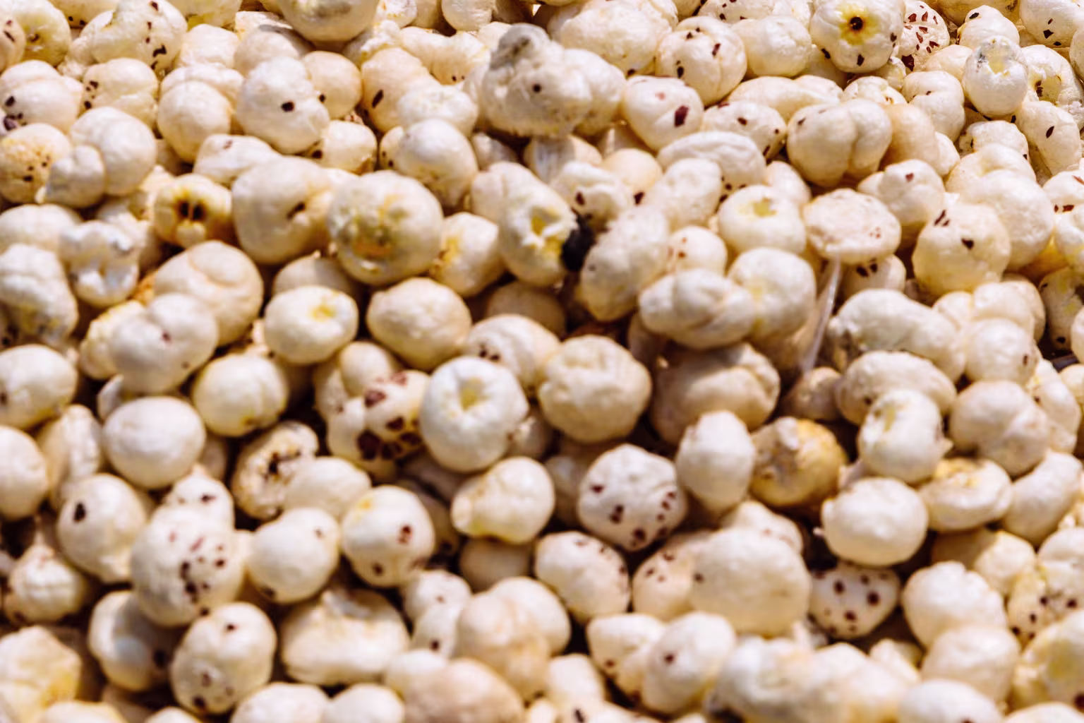 Premium Foxnuts